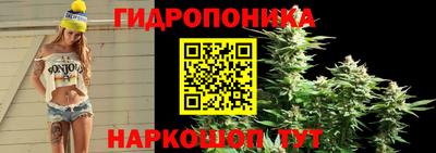 spice Заводоуковск