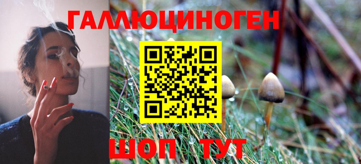 Ливны  Галлюциногенные грибы мухоморы  Псилоцибиновые грибы прущие грибы  Вход с VPN 