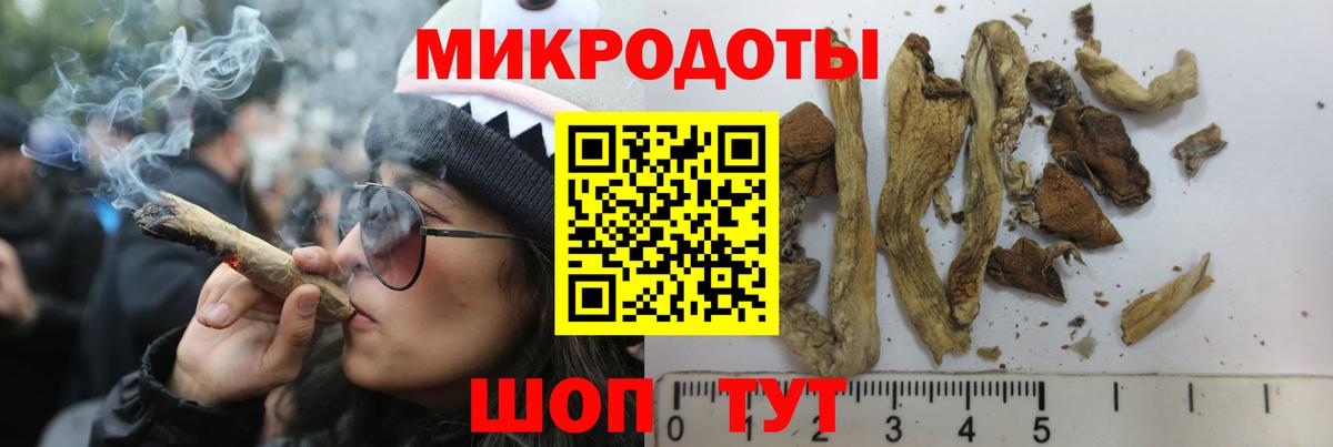 Псилоцибиновые грибы Magic Shrooms Ливны